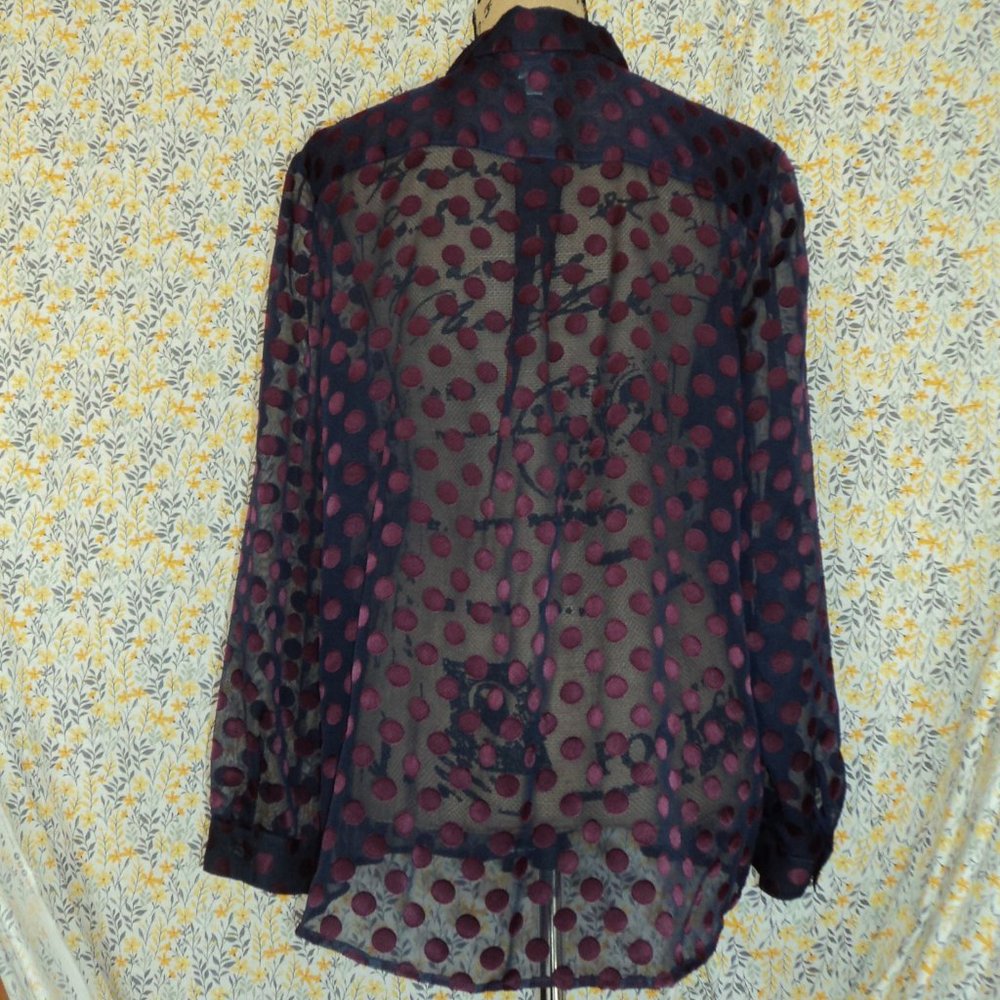 Shear Blouse - image 8